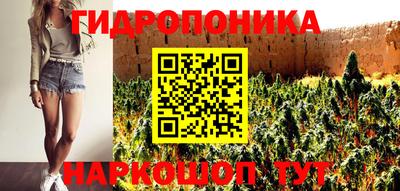 тгк Гусев