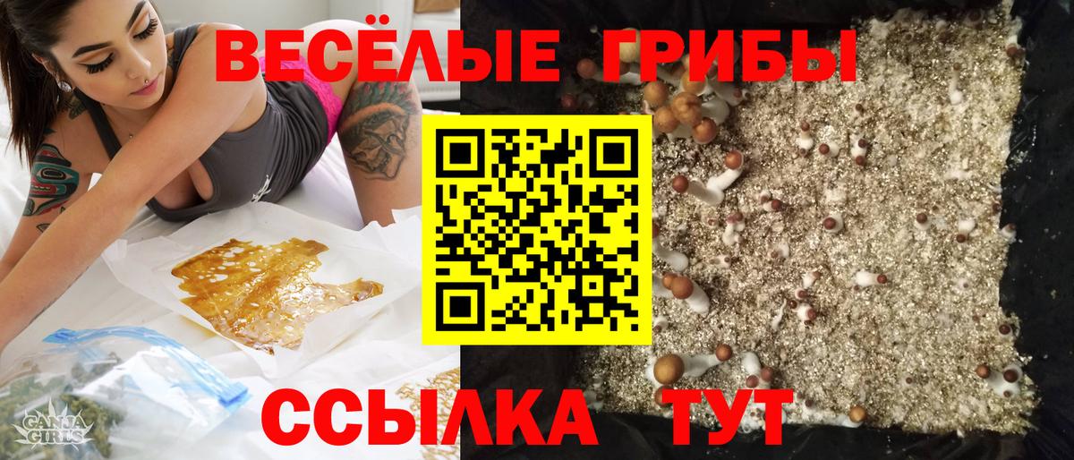 Псилоцибиновые грибы мицелий Валуйки