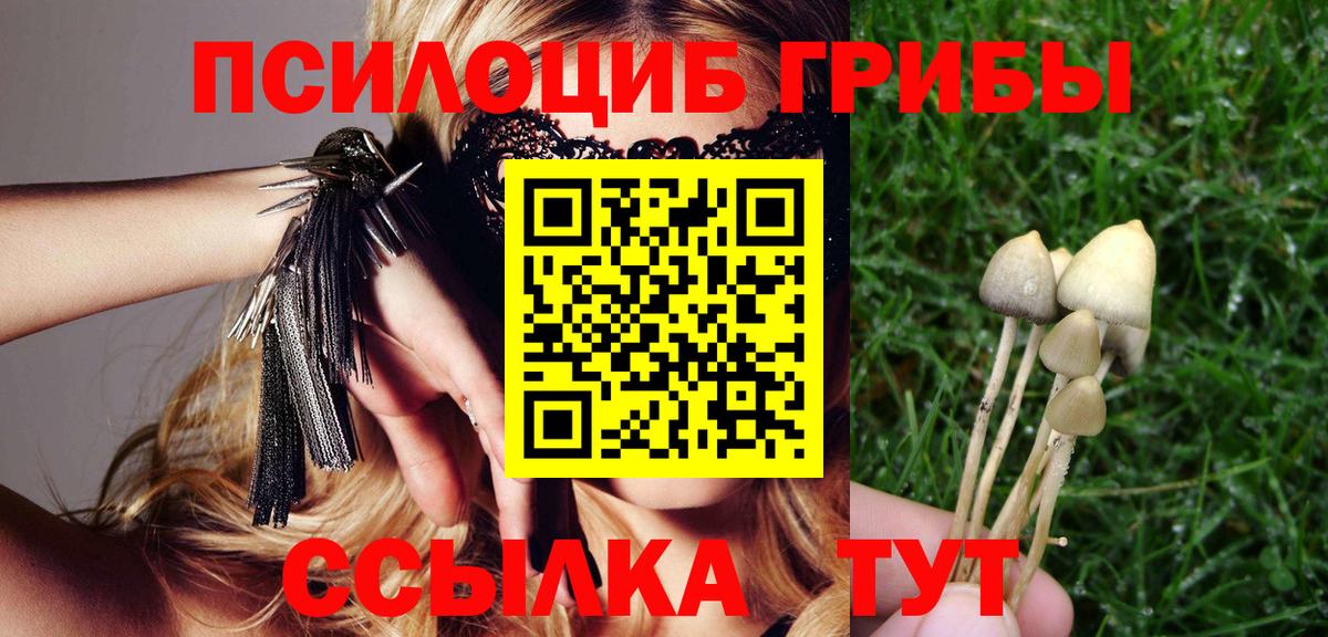 магазин продажи   Вход с VPN  Валуйки  Галлюциногенные грибы MAGIC MUSHROOMS  Псилоцибиновые грибы MAGIC MUSHROOMS 
